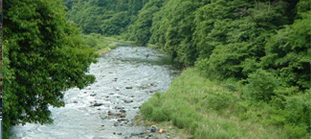 神奈川県写真 川