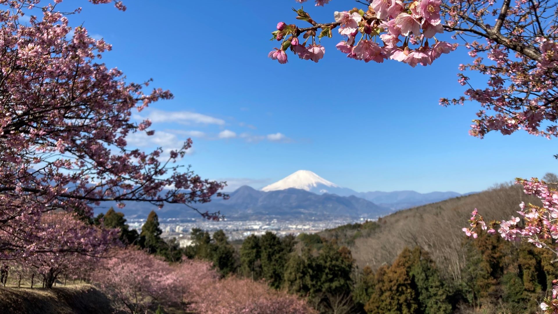 大井町の風景