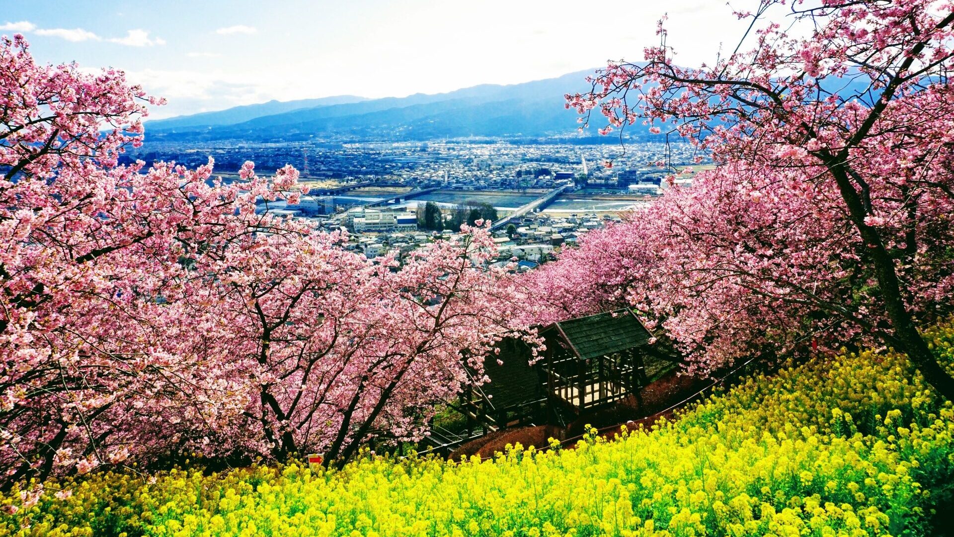 松田町の風景