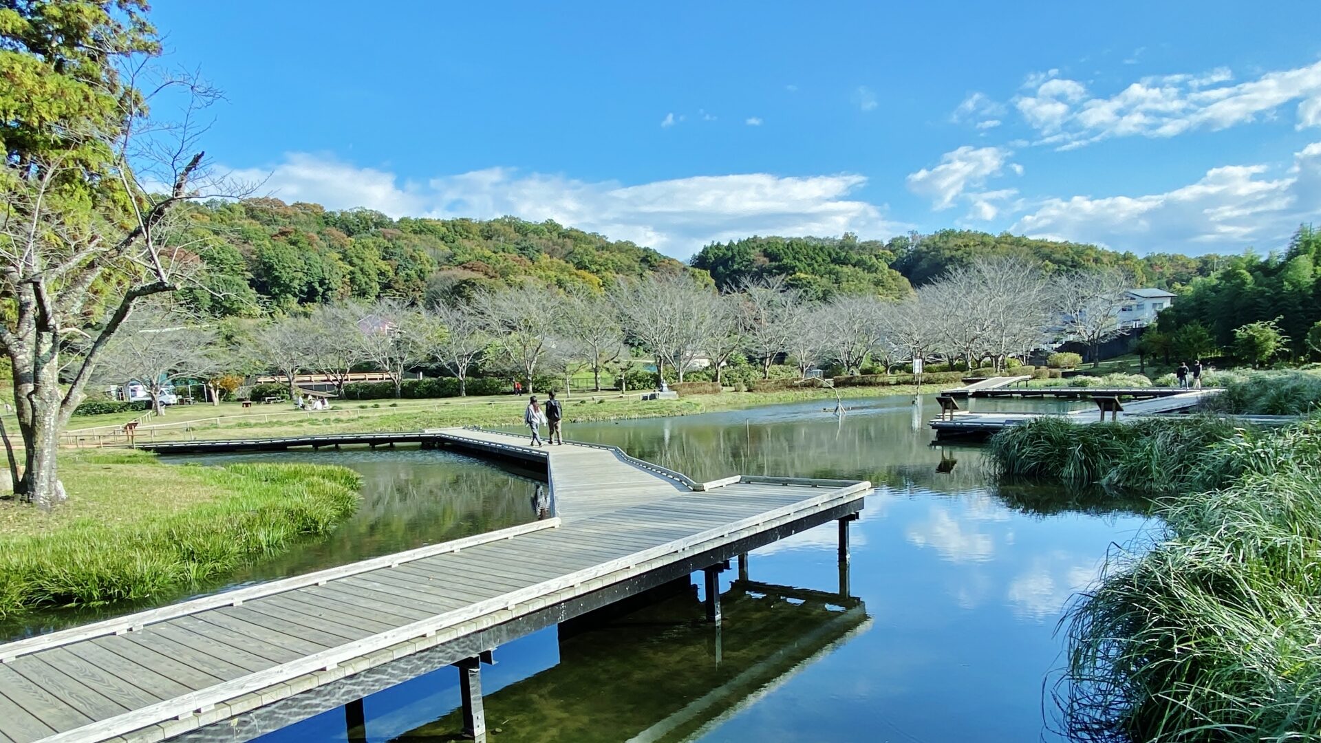 中井町の風景